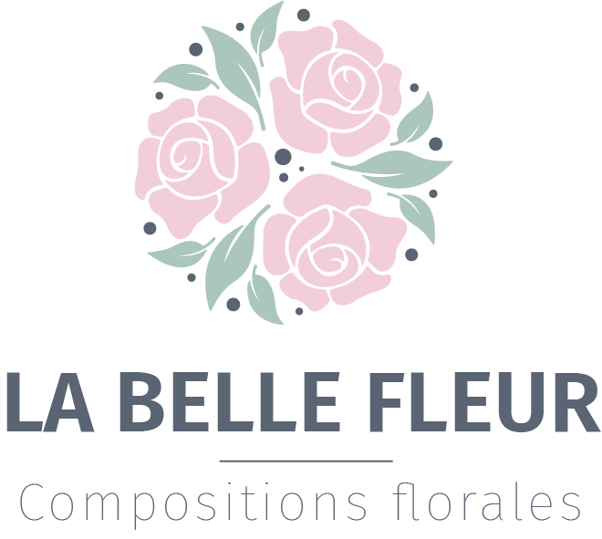 Fichier 6.png